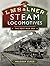L M S & L N E R Steam Locomotives by Malcolm Clegg