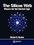 The Silicon Web: Physics for the Internet Age