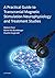A Practical Guide to Transcranial Magnetic Stimulation Neurop... by Robert Chen