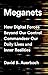 Meganets: How Digital Forces Beyond Our Control Commandeer Our Daily Lives and Inner Realities