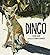 Dingo
