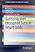 Querying over Encrypted Data in Smart Grids (SpringerBriefs in Computer Science)