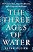The Three Ages of Water: Prehistoric Past, Imperiled Present, and a Hope for the Future