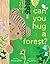 Can You Hug a Forest?