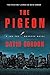 The Pigeon by David Gordon
