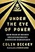 Under the Eye of Power: How Fear of Secret Societies Shapes American Democracy