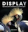 Display: Appearan...