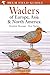 Field Guide to Waders of Eu...