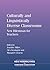 Culturally and Linguistically Diverse Classrooms New Dilemmas for Teachers (New Perspectives on Language and Education Book 16)