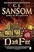Dark Fire (Matthew Shardlak...