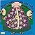 There Was an Old Lady Who Swallowed a Fly (Classic Books with Holes Soft Cover)