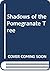 Shadows of the Pomegranate Tree
