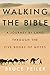 Walking the Bible by Bruce S. Feiler