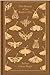 The Hound of the Baskervilles (Penguin Clothbound Classics)