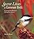 Secret Lives of Common Birds: Enjoying Bird Behavior Through the Seasons