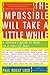 The Impossible Will Take a Little While: A Citizen's Guide to Hope in a Time of Fear