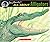 All About Alligators (All About Series)