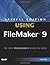 Special Edition Using FileMaker 9