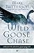 Wild Goose Chase: Reclaim the Adventure of Pursuing God
