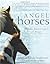 Angel Horses by Allen Anderson