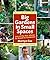 Big Gardens in Small Spaces: Out-of-the-Box Advice for Boxed-in Gardeners