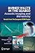 Buried Waste in the Seabed – Acoustic Imaging and Bio-toxicity: Results from the European SITAR Project (Springer Praxis Books)
