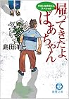 帰ってきたよ、ばあちゃん―がばいばあちゃんスペシャル (徳間文庫)