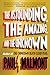 The Astounding, the Amazing, and the Unknown: A Novel