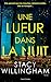 Une lueur dans la nuit