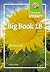 Focus on Literacy: Big Book 1B