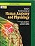 Fundamentals of Human Anato...