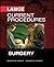 Lange Current Procedures by Minter