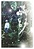 Novel Mushishi (KC Novels) ...
