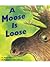 A Moose is Loose