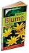 Welche Blume ist das?