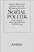 Sozialpolitik. Eine sozialw...