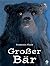 Großer Bär