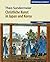 Christliche Kunst in Japan und Korea by Theo Sundermeier