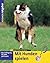 Mit Hunden spielen
