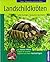 Landschildkröten