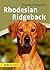 Rhodesian Ridgeback