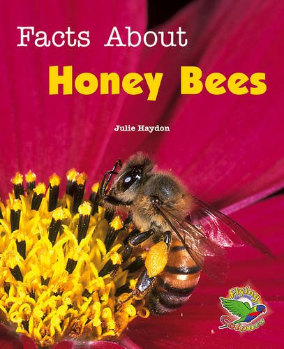 Facts About Honey Bees (Paperback)