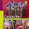 Gestecke: Kreativ mit Blumen