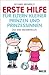 Erste Hilfe für Eltern klei...