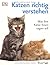 Katzen richtig verstehen Was Ihre Katze Ihnen sagen will