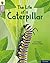Oxford Reading Tree Word Sp...