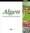 Algen Algen