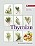 Thymian
