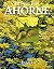 Ahorne.
