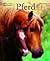 Pferd